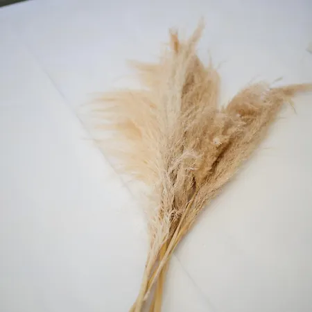 Daire Levanda Dassia (Corfu)